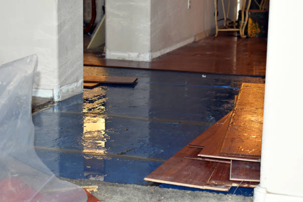 Professional Water Damage Restoration technician working in Milton, DE